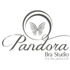 pandor 140 x 140 logo